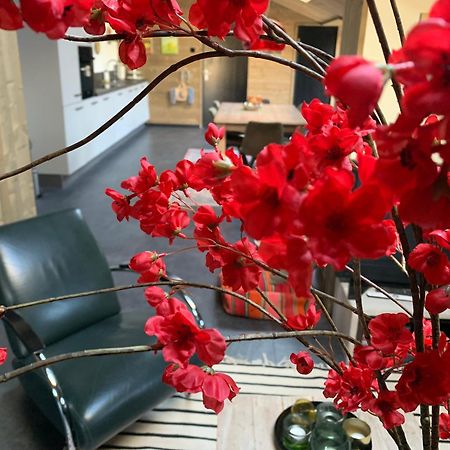 Atelier Onder De Notenboom Appeltern المظهر الخارجي الصورة