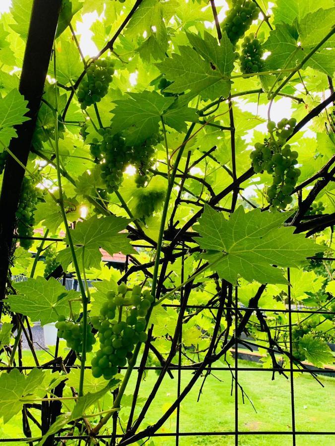 Atelier Onder De Notenboom Appeltern المظهر الخارجي الصورة