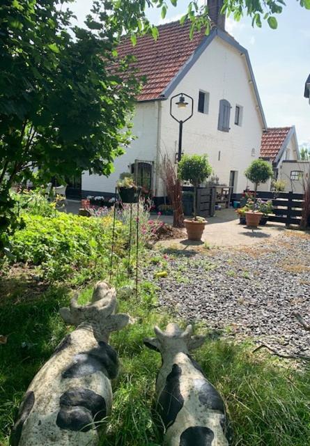 Atelier Onder De Notenboom Appeltern المظهر الخارجي الصورة